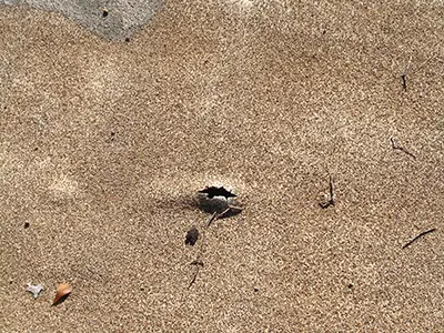 Commercial Roof Repairs 2