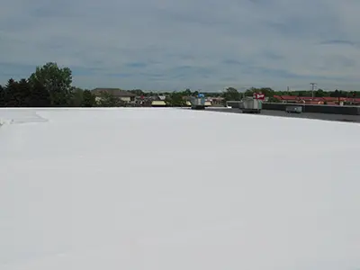 Spray Foam 6